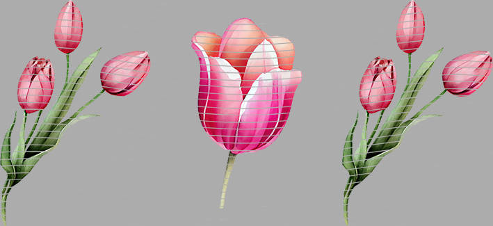 16oz Element-EN-1142